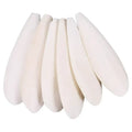Cuttle bone 6-8"