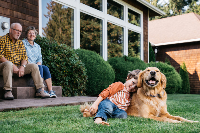 Dog Fence Repair Kit