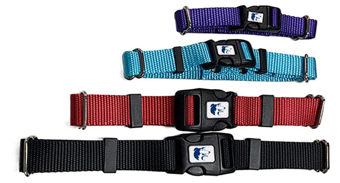 Dog Guard Collar- Nylon (Fits any Dog guard Receiver)