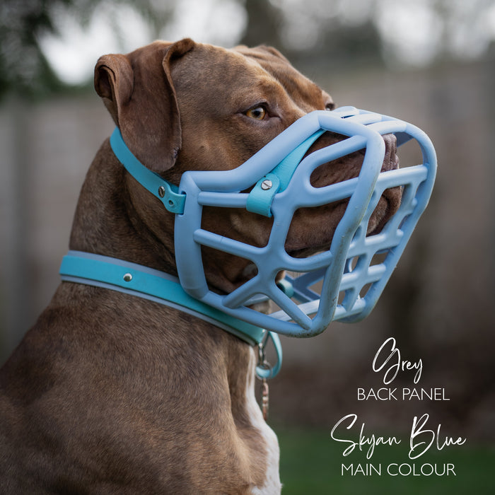 Dual Tone Collar 25mm - customisable