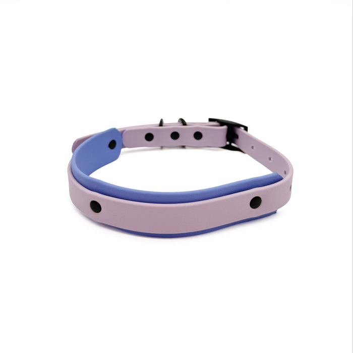 Dual Tone Collar 25mm - customisable