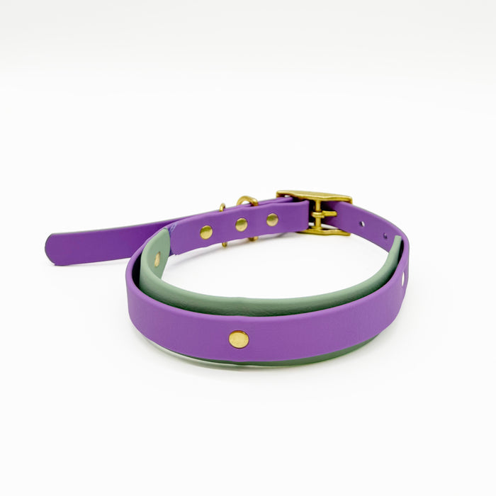 Dual Tone Collar 25mm - customisable