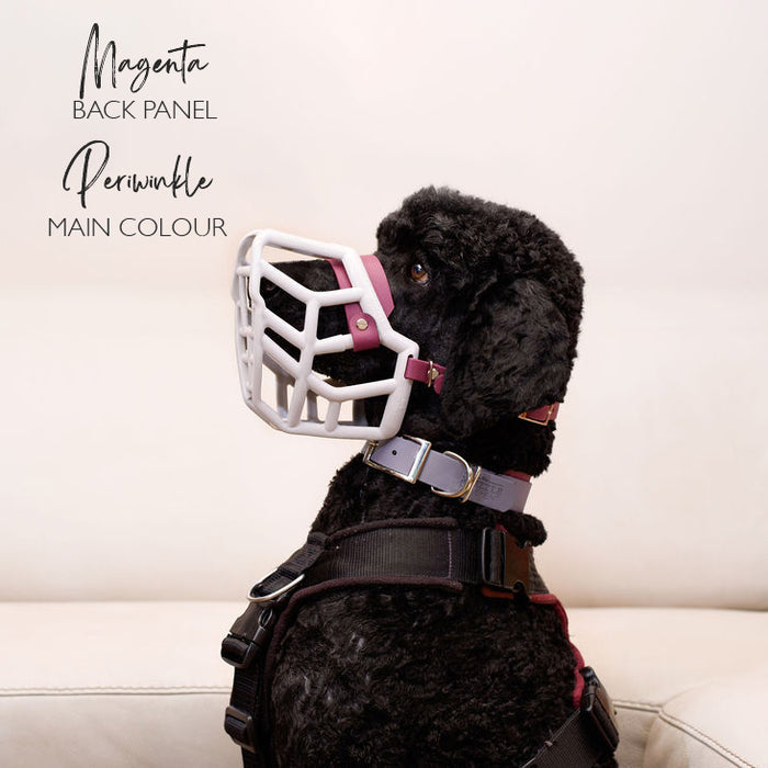 Dual Tone Collar 38mm - customisable
