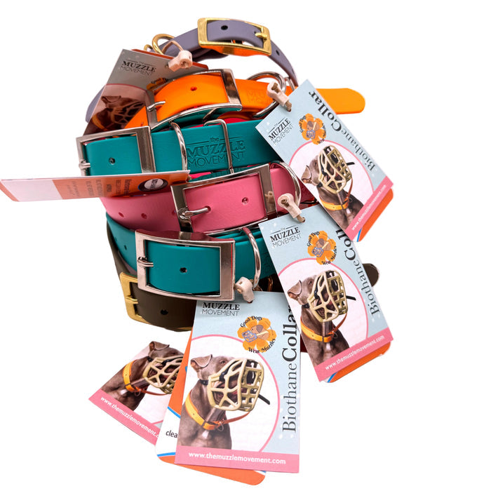 Dual Tone Collar 38mm - customisable