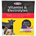Durvet Vitamins & Electrolytes for Cattle, Horses, Sheep, Swine, Poultry (8 oz)
