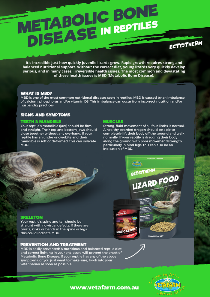 Reptile Metabolic Bone Disease Symptoms