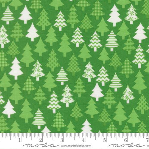 Evergreen Christmas Trees- Snow Time