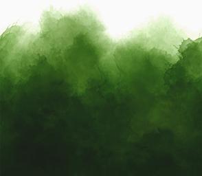 Evergreen Mystic Ombre