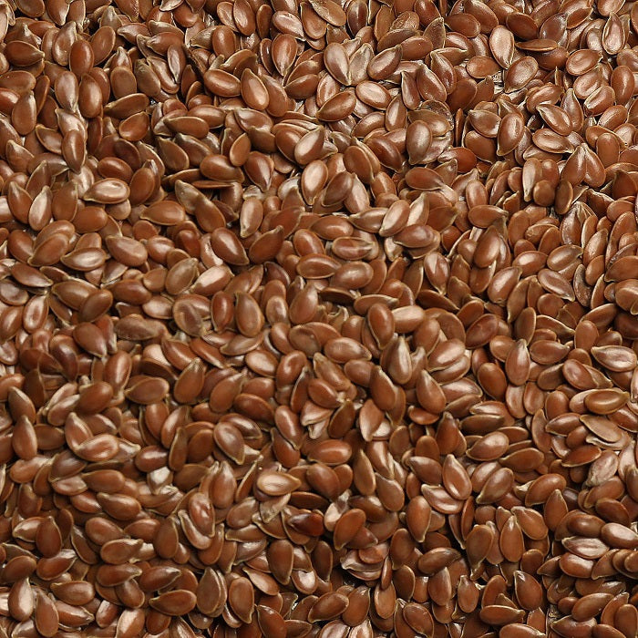 Flax Seed for Birds