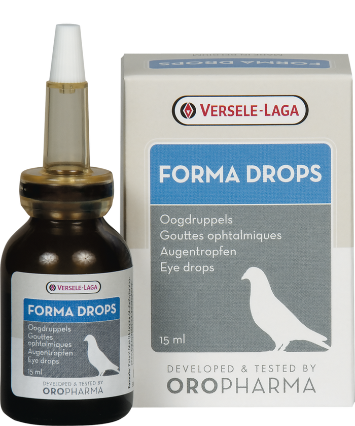Effective Eye Infection Treatment for Birds