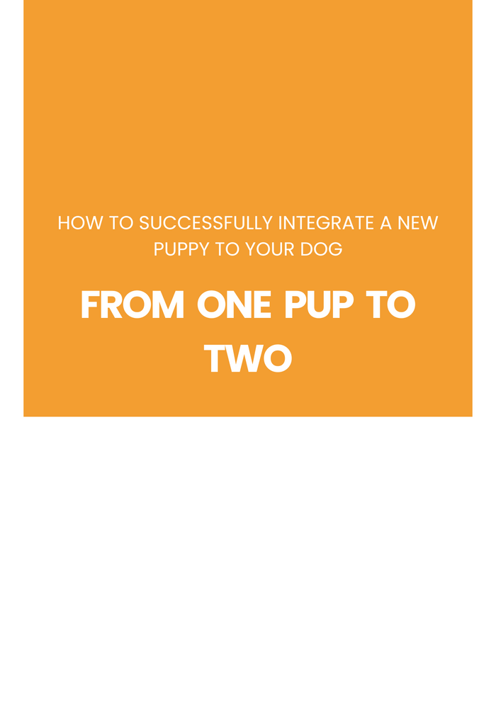From  One  Pup  to Two
