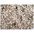 GENERIC SAFFLOWER SEED