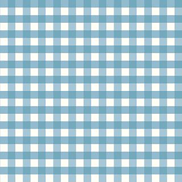 Gingham Blue Flannel- I Love You to the Moon