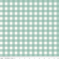 Gingham Powder Flannel- I Love You to the Moon