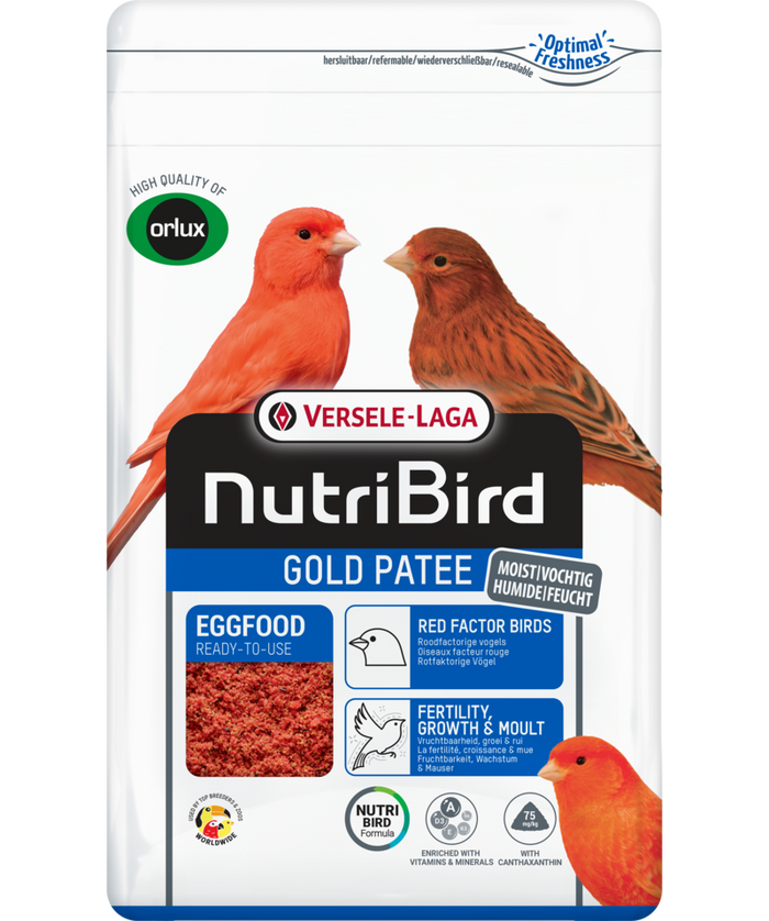 Gold Patee Red (Versele-Laga)