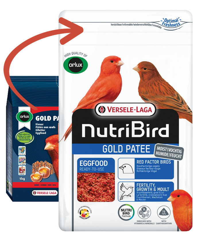 Gold Patee Red (Versele-Laga) Premium Canary Eggfood Supplement