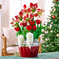 Happy Holidays Bulb Garden