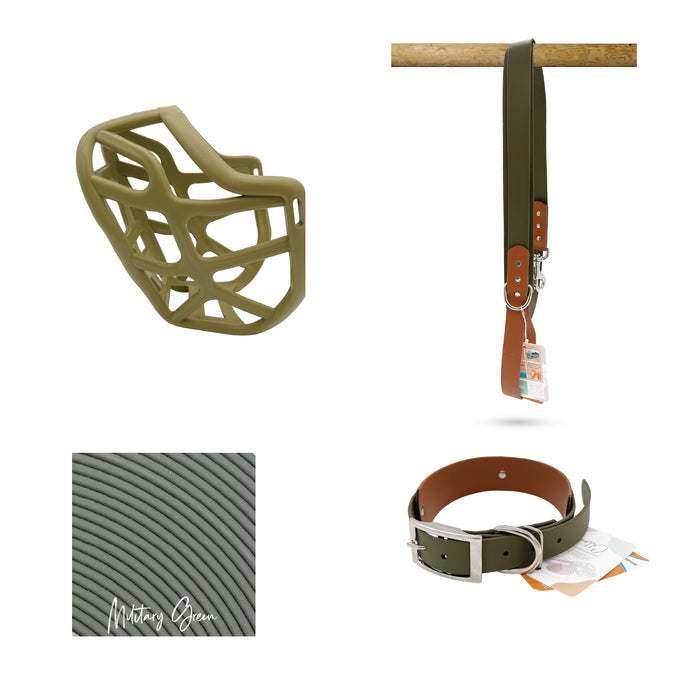 Harry 2.0 Muzzle Collar and Lead set