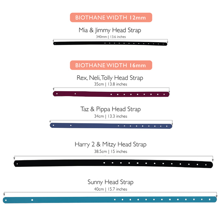 Head straps Bundle for Trade - Additional Safety Strapping for Muzzles