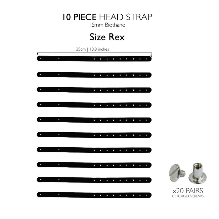 Rex head strap / 10