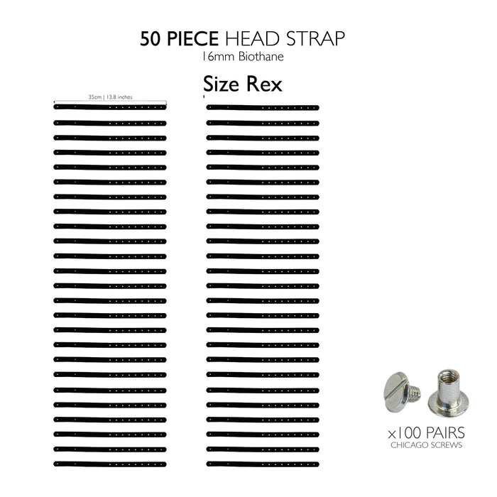 Rex head strap / 50