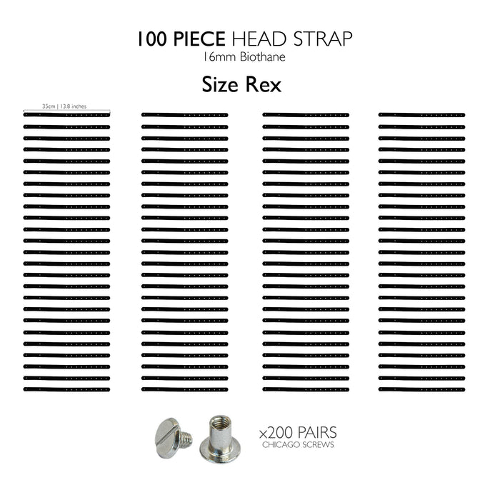 Rex head strap / 100