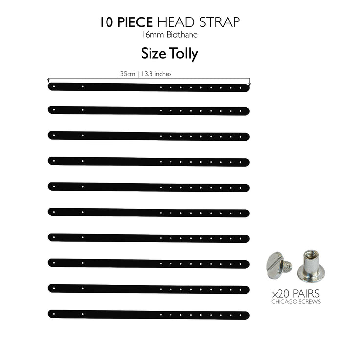 Tolly head strap / 10