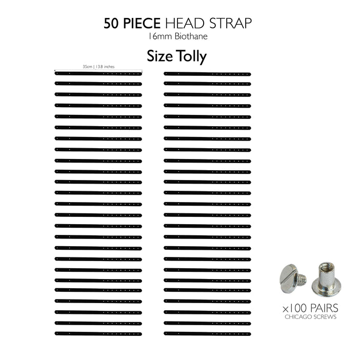Tolly head strap / 50
