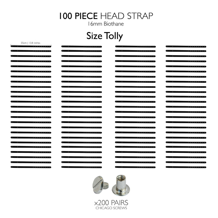 Tolly head strap / 100