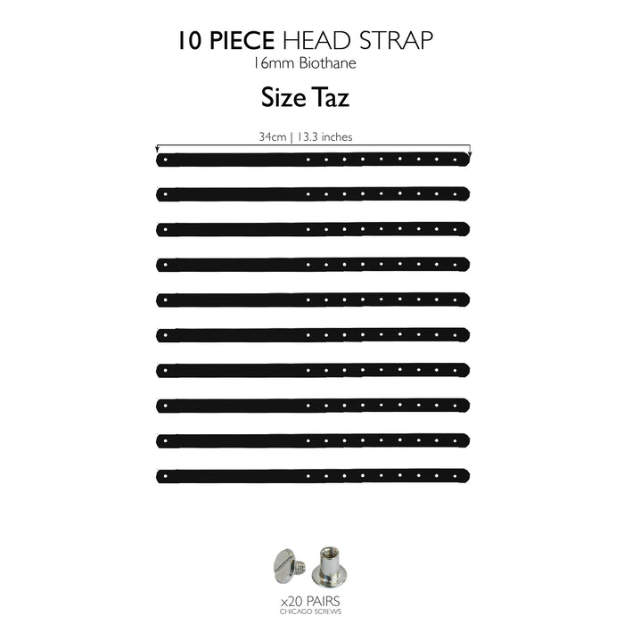 Taz head strap / 10