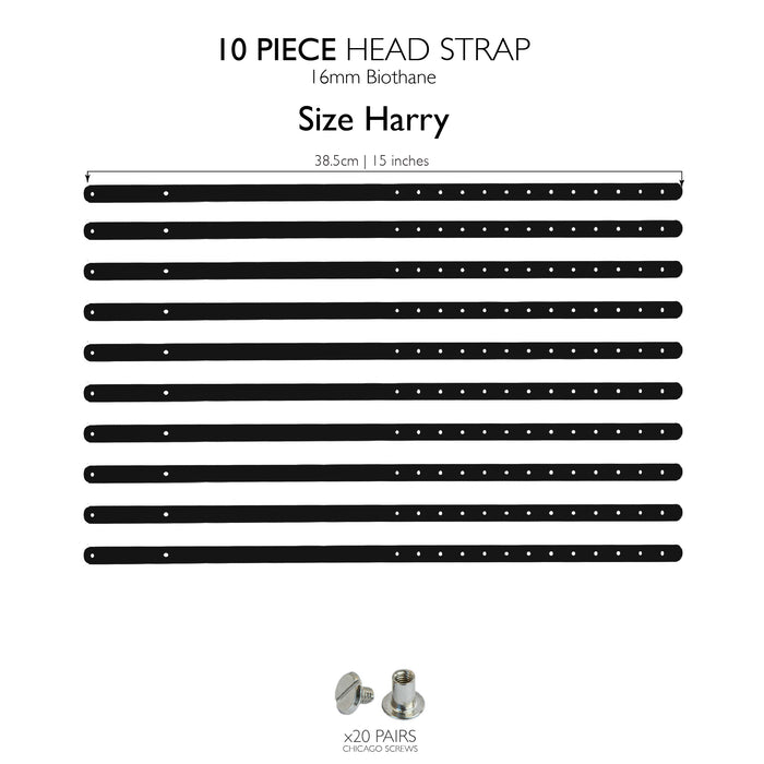 Harry 2.0 head strap / 10