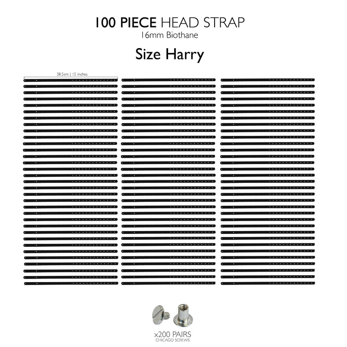 Harry 2.0 head strap / 100