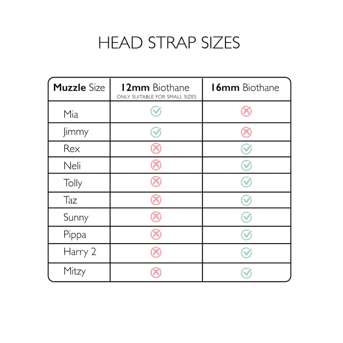 Head straps Bundle for Trade - Additional Safety Strapping for Muzzles