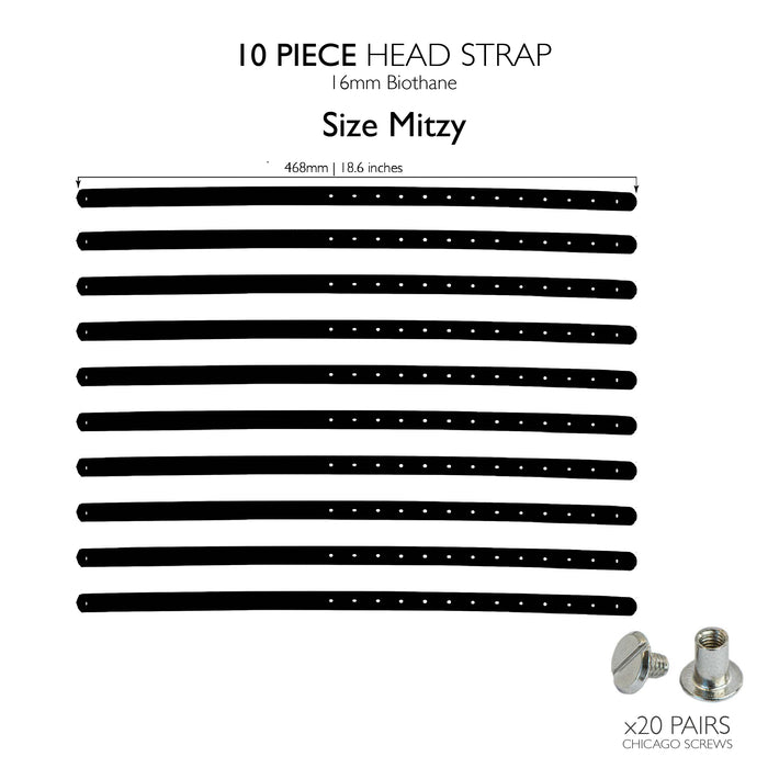 Mitzy head strap / 10