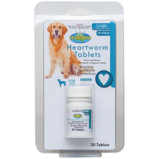Heartworm Treatment for Large Dogs