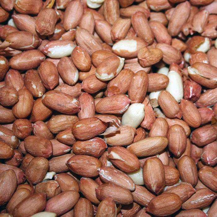 Hulled Peanuts for Birds