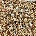 Millet/Hemp Bird Seed Mix
