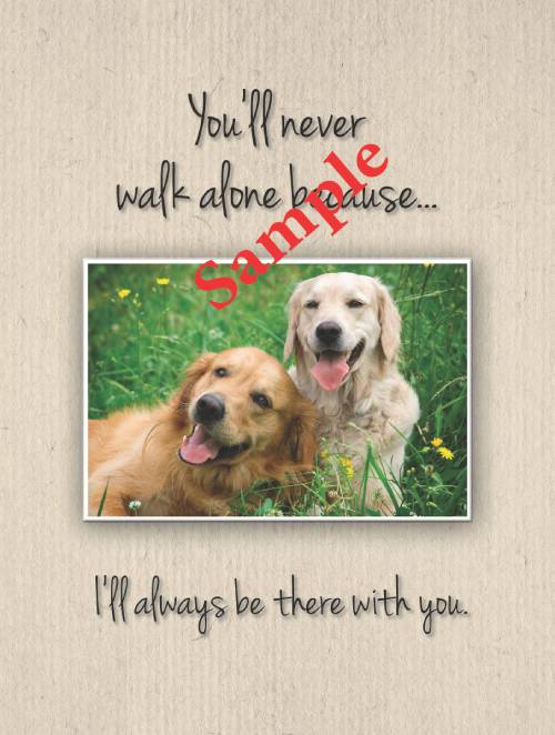 Kings Pet Puppy Health Record Folders (Assorted) 9"x12"