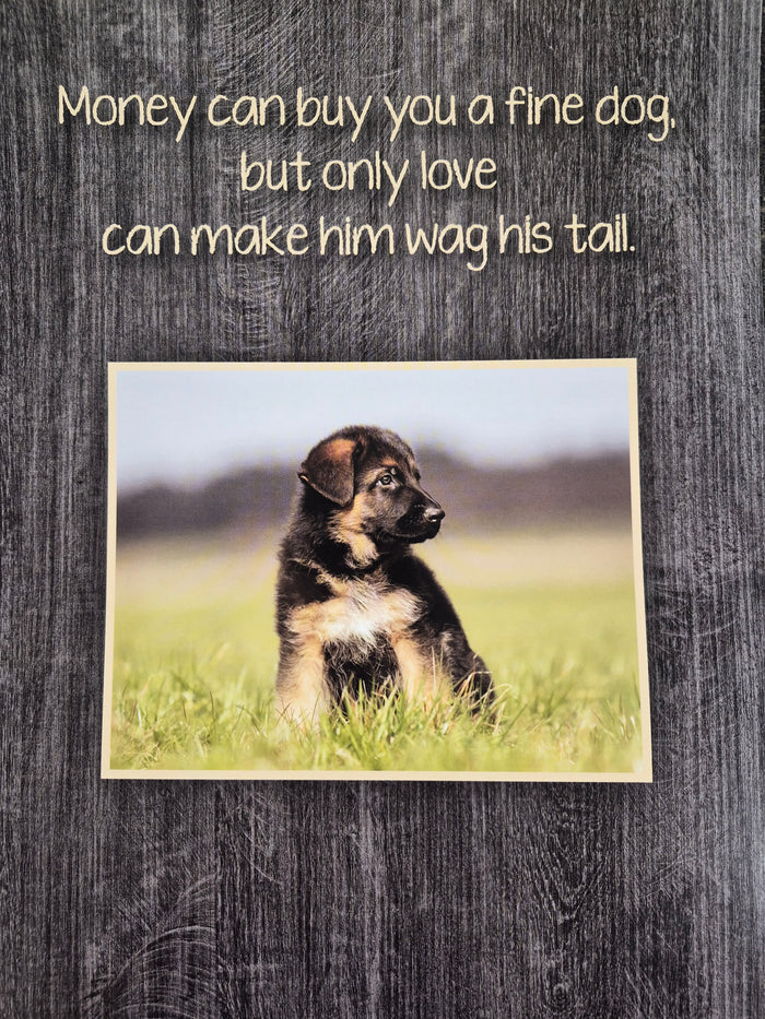 Kings Pet Puppy Health Record Folders (Assorted) 9"x12"
