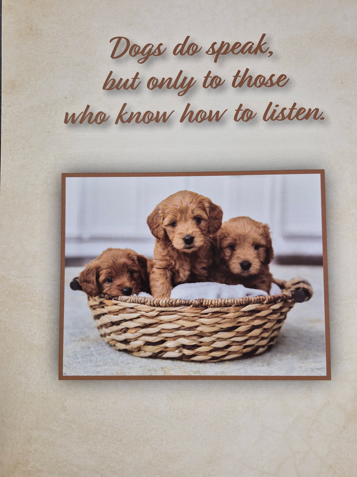 Kings Pet Puppy Health Record Folders (Assorted) 9"x12"