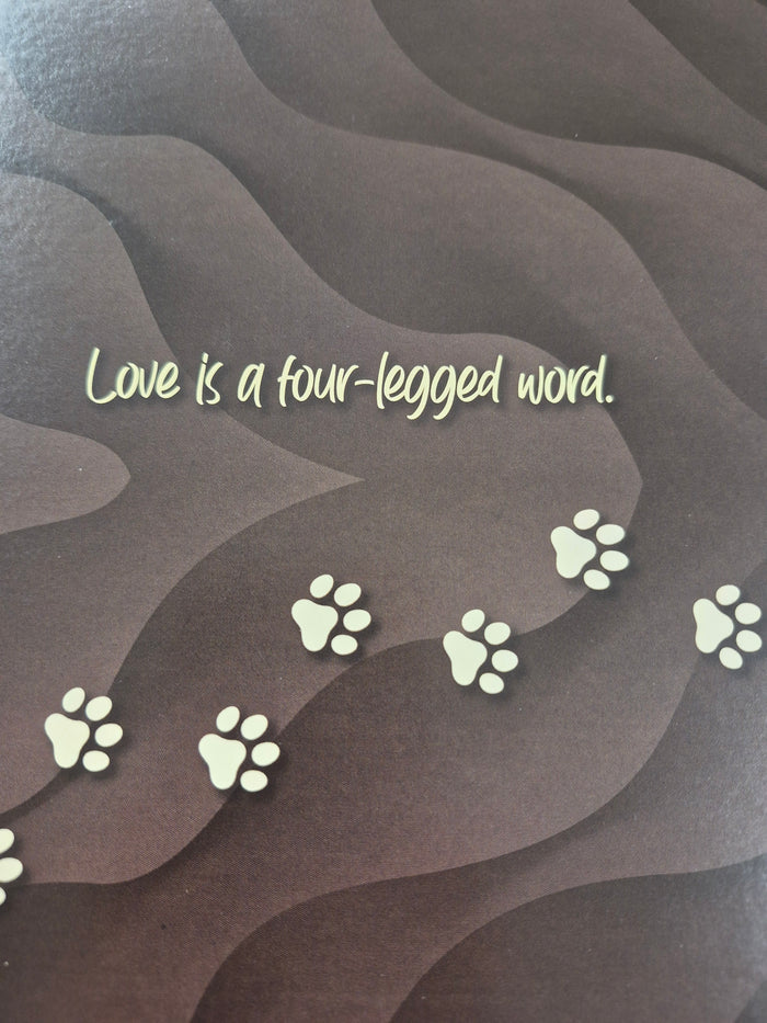 Kings Pet Puppy Health Record Folders (Assorted) 9"x12"