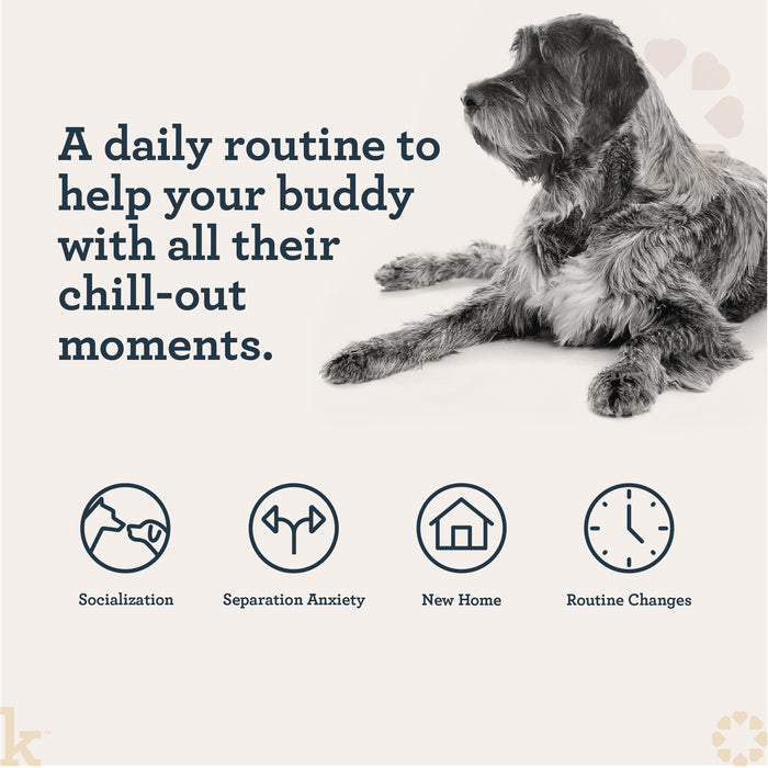 Kradle Plus CBD Calming Chews For Dogs