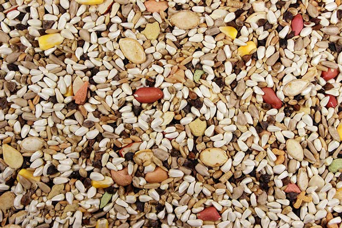 Premium Hookbill Bird Food