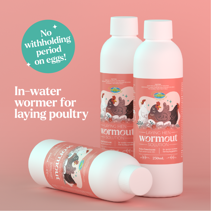 intestinal worm control for laying hens