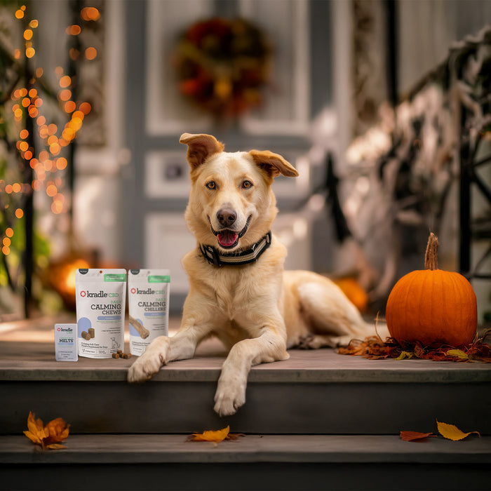 Limited Edition Trick-or-Treat Calming Bundle for Dogs