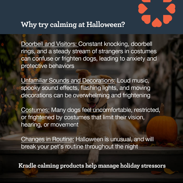 Limited Edition Trick-or-Treat Calming Bundle for Dogs