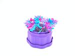 Magnetic Pin Cups 53mm Lilac