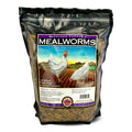 Mealworms (Backyard Farmers)