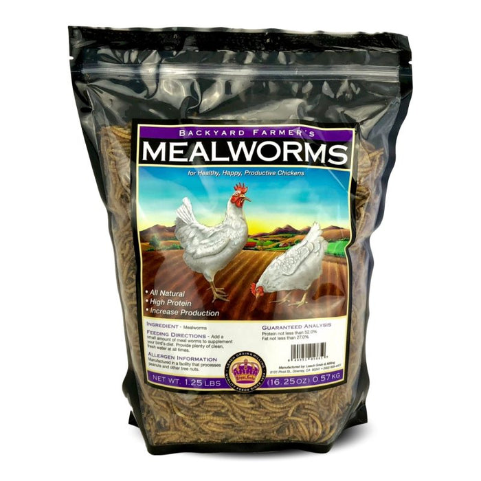 Mealworms (Backyard Farmers)