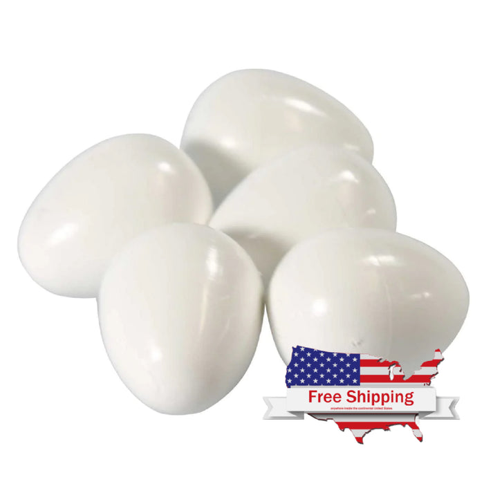 Medium Plastic Eggs for Parakeets (2GR) Fake Parakeet Eggs/Pack of 10